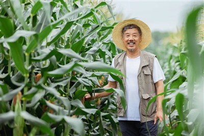 以多元化服务破解独居老人养